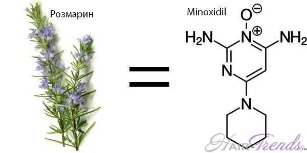 Масло розмарина от выпадения волос так же эффективно, как миноксидил